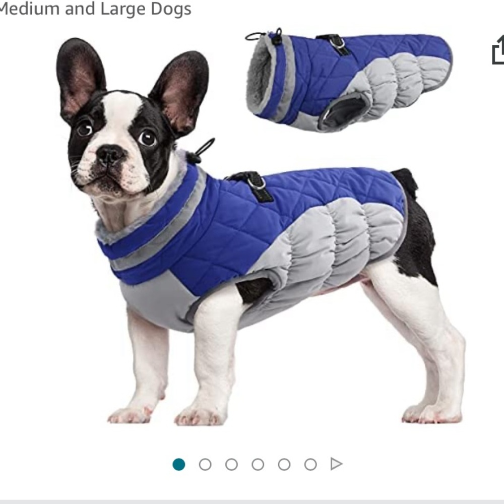Blue dog winter jacket - small